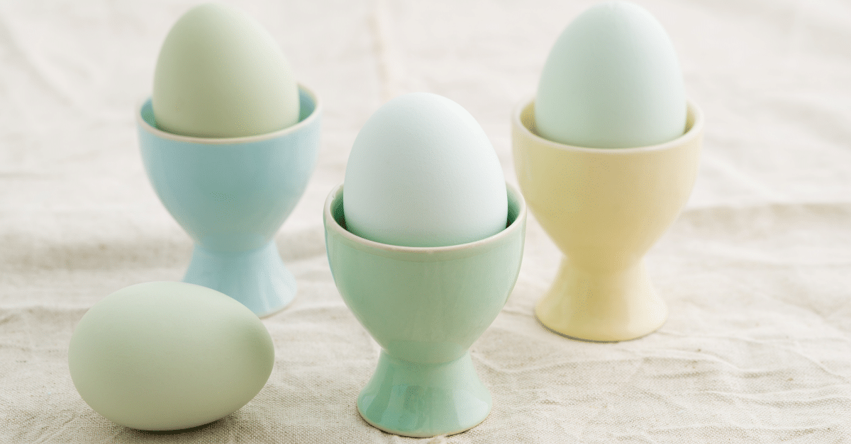 Eggs in egg cups on white background