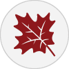 Maple Federal Credit Union icon